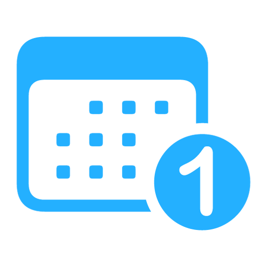 1-Year Plan